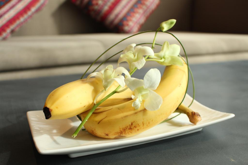 Ssaw Boutique Hotel Delan Mogan Mountain Deqing Εξωτερικό φωτογραφία